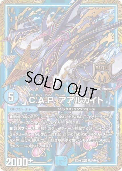 画像1: 〔状態B〕C.A.P.アアルカイト【MAS】{EX19M27/M40}《水》 (1)