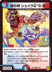 魂暗号の木盤＆系統の王　旧枠両面エラー 魂暗号の木盤＆系統の王 旧枠両面エラー ラスト1枚