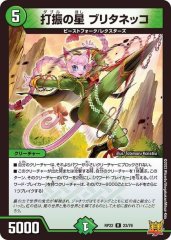 状態A-〕轟く覚醒レッドゾーン・バスター/蒼き覚醒ドギラゴンX【SR